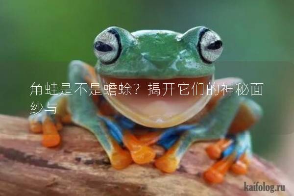 角蛙是不是蟾蜍？揭開它們的神秘面紗與